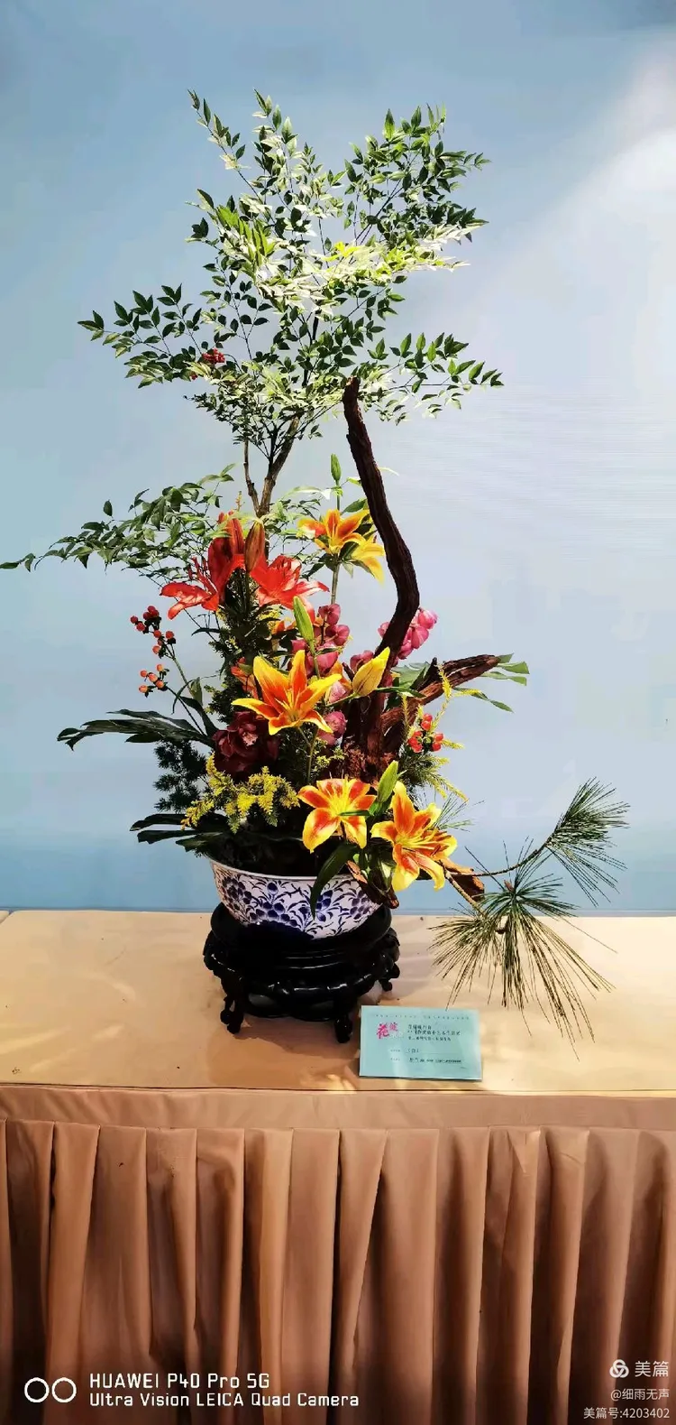 首届峨眉山中国传统插花艺术作品展.20241203拍